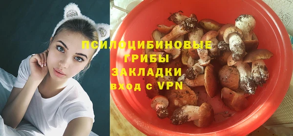 таблы Алексин