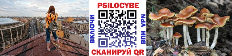Псилоцибиновые грибы Magic Shrooms  Киселёвск 